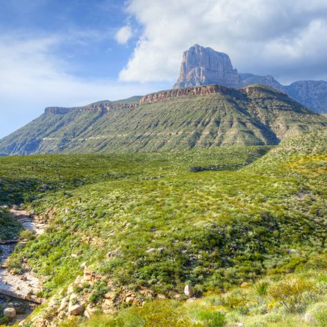 Guadalupe Peak, Hiking In Texas, Amazing Experiences, Guadalupe Mountains National Park, Guadalupe Mountains, Tent Site, Backcountry Camping, National Parks Map, West Texas