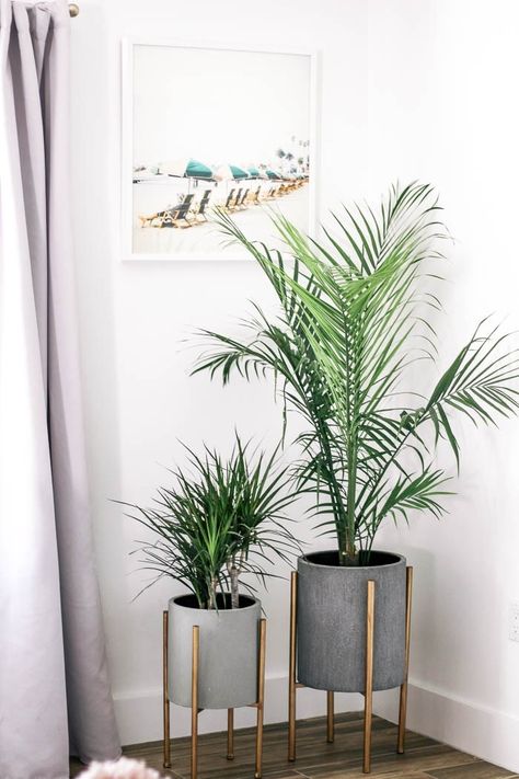 How I did a $500 living room refresh to decorate the space on a budget! Ideas for a modern boho space with bright light, hints of gold. Pastel and pink colors with a beach vibe. Living Room Refresh, Boho Space, Living Room Plants, Room Refresh, Budget Ideas, Living Room Diy, Living Room Decor Apartment, Apartment Living Room, Bright Light