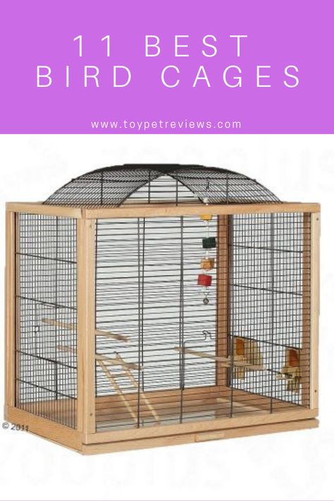 f you’re looking to bring a bird into your home, then you will need to find and purchase a suitable cage. This article goes over some of the best bird cages available for various small to large birds, such as finches, conures, lovebirds, parakeets, parrots, canaries, cockatiels, budgies. The criteria used in compiling this list includes price, quality, cage size, and the user opinions of experienced bird owners. diy parrot toys parrot toys diy bird toys bird toys diy pet parrot Finches Bird Cage, Diy Bird Cage How To Make, Bird Cage Ideas Indoor, Forpus Bird, Diy Parakeet Cage, Pet Canary, Bird Room Ideas, Bird Toys Diy, Bird Cage Ideas