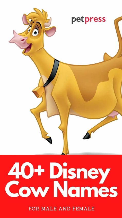 Do you know all the cow names in Disney movies? Here is a collection of Disney cow names that you should consider if you have a cow. Funny Cow Names, Benny The Bull, Names Male, Clarabelle Cow, Elsie The Cow, Cow Names, Mini Cows, Bull Art, Timon And Pumbaa