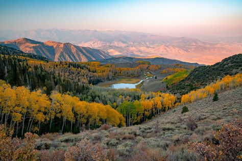 Utah's Fishlake National Forest is Even More Magical Than You Know Fish Lake National Forest Utah, Fishlake National Forest Utah, Dixie National Forest Utah, Quaking Aspen, Forest Map, Visit Utah, Wonderful Nature, Green Oasis, High Mountain