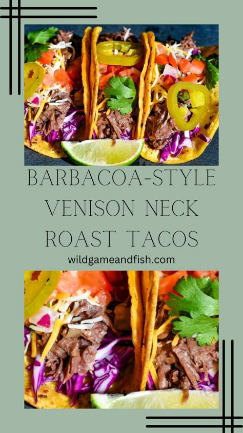 Barbacoa-Style Venison Neck Roast Taco Recipe Neck Roast Venison Crockpot, Shredded Venison Tacos, Venison Neck Roast Recipe, Venison Barbacoa, Venison Nachos, Venison Neck Roast, Venison Enchiladas, Venison Roast Crockpot, Venison Tacos