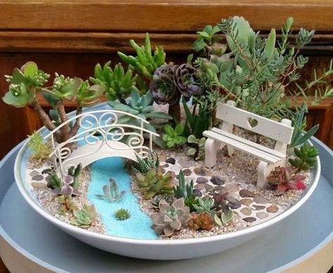 Miniature Garden Design, Diy Miniature Garden, Beach Fairy Garden, Indoor Fairy Gardens, Fairy Garden Ideas, Teacup Gardens, Fairy Garden Crafts, Fairy Garden Designs, Miniature Fairy Garden