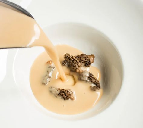 Forager Chef, Morel Recipes, Morel Mushroom Recipes, Mushroom Bisque, Mushroom Dishes, Expensive Steak, Wild Mushroom Recipes, Morel Mushrooms, Mushroom Growing