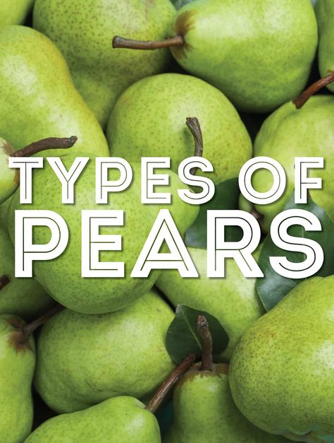 Red Pears, Pear Pizza, Pear Varieties, High Fiber Fruits, Fiber Fruits, Bartlett Pears, Red Pear, Food Scientist, Eat Veggies