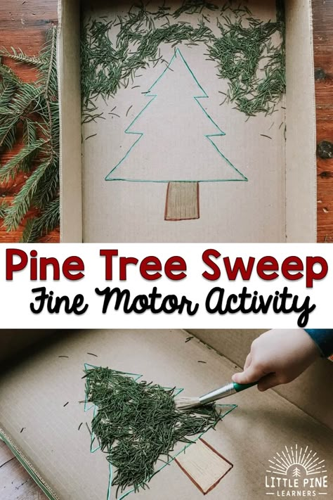 Pine Needle Sweep {A Fine Motor Activity} • Little Pine Learners Fine Motor Christmas, Prewriting Skills, Preschool Christmas Activities, Fine Motor Activity, December Activities, Tree Study, Preschool Fine Motor, Sensory Activity, Christmas Activity