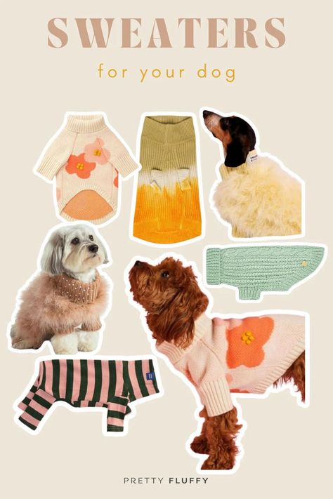 various images of dogs wearing cute dog sweaters in different styles and colors with heading "sweaters for your dog" Dog Brands, Knitted Dog Sweater Pattern, Dog Trends, Living With Dogs, Dog Sweater Pattern, Knit Dog Sweater, Dog Branding, Dog Shop, Sweater Trends