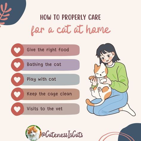 When there is a cat in your house You have to know how to take care of your cat of course so ,Here are some tips that may help you 🤗Hope you enjoy Taking Care Of A Cat, Cat Tips, Getting A Kitten, Cat Health Care, Cat Hacks, Cat Care Tips, Cat Owner, Cat Health, Cat Playing