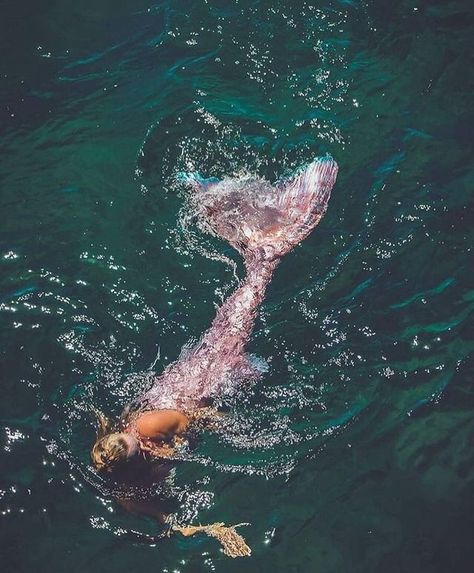 No Ordinary Girl, Realistic Mermaid, Mermaid Stories, Mermaid Photography, H2o Mermaids, Mermaid Cove, Mermaid Photos, Mermaid Core, Siren Mermaid