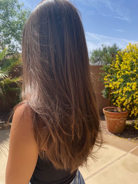 Light Layers On Medium Hair, Hair Cuts Long Layers Straight, Layers For Long Hair Brown, Simple Layers For Long Hair, Haircut Inspo Long Straight, Long Brown Hair With Long Layers, Long Layers On Brown Hair, Layers On Straight Hair Long, Long Brunette Layers