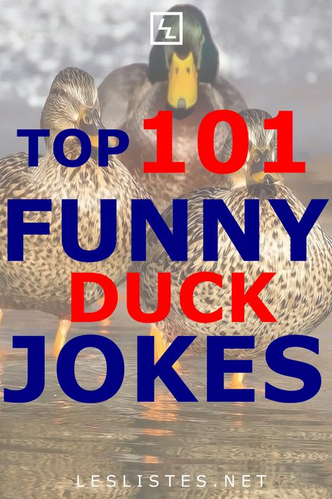 Animals are really funny and are great to laugh about. Ready to quack up with some funny jokes. Check out the top 101 funny duck jokes. #jokes #Ducks Duck Puns Funny, Duck Jokes Hilarious, Duck Jokes, Duck Hunting Humor, Duck Puns, Duck Images, Hunting Jokes, Kids Jokes, Whatsapp Pictures