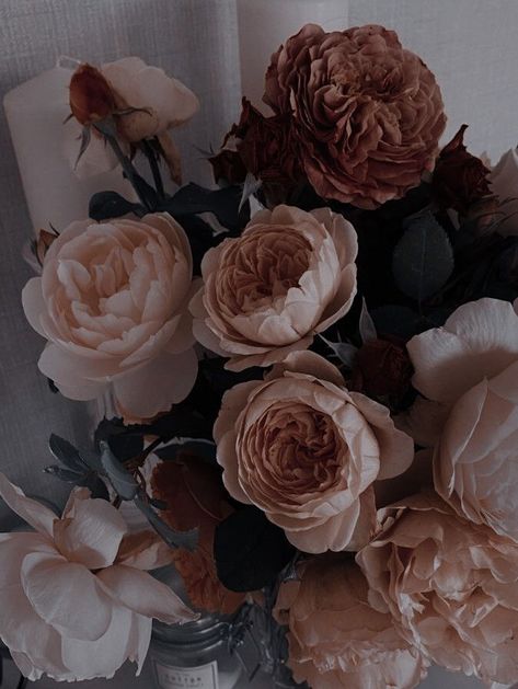 Dec 3, 2020 - This Pin was discovered by Rima Dwi Indriati. Discover (and save!) your own Pins on Pinterest Dark Theme Icons Aesthetic, Royal Icons Aesthetic, Dark Regal Aesthetic, Rose Flower Aesthetic Dark, Dark Roses Aesthetic, Roses Dark Aesthetic, Alexander Aesthetic, Brown Aesthetic Pictures, Belle Aesthetic