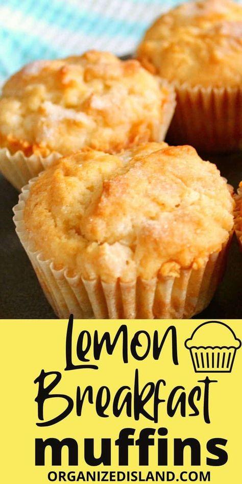 These Easy Lemon Breakfast Muffins are so easy to make and are rich and cake-like, making them perfect for breakfast or brunch. #lemonmuffins #breakfastmuffins #lemonbread Lemon Muffin Recipes, Lemon Breakfast, Sweet Biscuits, Oatmeal Smoothie, Breakfast Muffin, Strawberry Oatmeal, Lemon Dessert, Healthy Muffin Recipes, Sweet Muffin