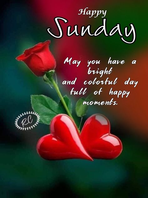 Happy Sunday Flowers, Blessed Sunday Morning, Mother Theresa Quotes, Good Morning Animals, Anniversary Wishes For Husband, Happy Sunday Images, Good Night Friends Images, Sunday Wishes, Week Quotes