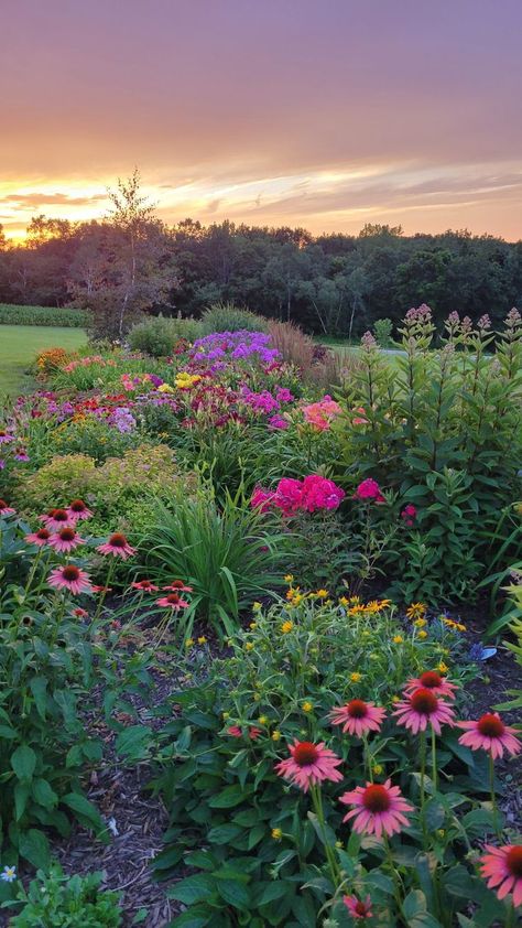 summer flowers garden inspiration ideas Wild Flower Gardens Backyards, Wild Landscaping Ideas, Yard Full Of Flowers, Flower Garden Inspiration Backyards, Wildflower Backyard Landscaping, Wildflower Cottage Garden, Backyard Flower Garden Aesthetic, Cottage Core Front Yard, Dream Flower Garden