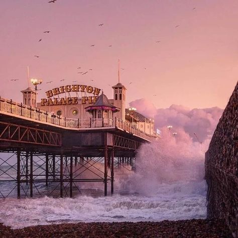 All posts • Instagram Brighton Photography, Brighton Rock, Jacques Yves Cousteau, London Brighton, British Seaside, Brighton Uk, Brighton And Hove, Golden Lights, Sea Waves