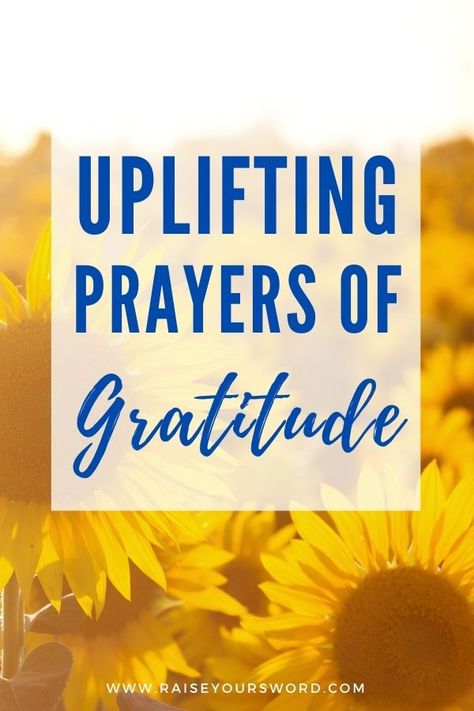 Prayers Of Gratitude Thank You God, Prayers For Thankfulness Gratitude, Prayers For Gratitude Be Grateful, Prayer For Gratitude To God, Praise Prayers To God, Grateful Prayers To God, Grateful Prayer Thank You God, Prayer Of Thanksgiving Gratitude, Thank You Lord For Everything Gratitude