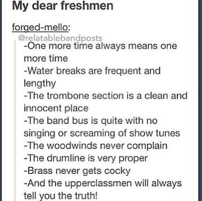 we need to do something like this to freshman next year Marching Band Jokes, Marching Band Problems, Marching Band Memes, Band Problems, Marching Band Humor, Band Jokes, Posts On Instagram, Music Jokes, Band Quotes