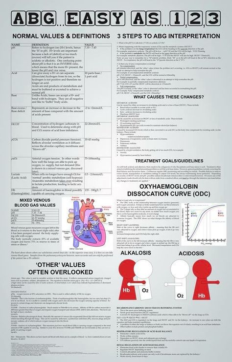 electrolyte imbalances nursing, perrla nursing assessment, diy nursing #Nursingstudies #nursingfromwithin #nursingsucces Neonatal Nursing, Nursing School Scholarships, Paramedic School, Nursing School Prerequisites, Nursing Information, Acid Base Balance, Nursing Mnemonics, Neonatal Nurse, Nursing School Survival