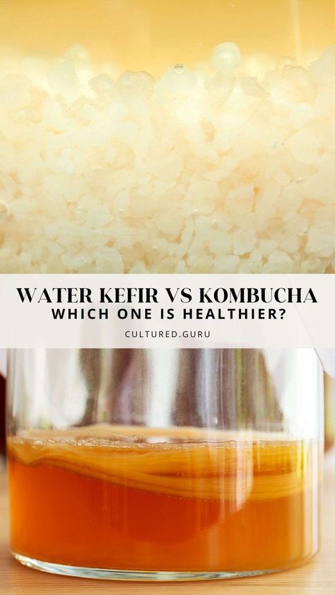 These fizzy drinks are unique. When looking at water kefir vs kombucha, the main difference is the microorganisms in the starter cultures. Kombucha SCOBYs contain more yeast, and acetic acid bacteria are the dominant bacterial species. Water kefir grains contain less yeast, and lactic acid bacteria are the most dominant types of bacteria. Read the blog to learn more! When To Drink Water, Jun Kombucha, Kefir Drink, Types Of Bacteria, Kefir Benefits, Water Kefir Grains, Peach Water, Kombucha Scoby, Fizzy Drinks