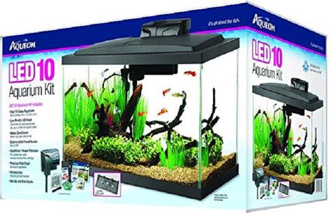 Find the Ideal Mini Saltwater Aquarium Kit 20 Gallon Fish Tank, Aquarium Set, Cool Fish Tanks, Aquarium Led, Aquaponics Fish, Fish Tank Lights, Large Bird Cages, Led Aquarium, Glass Aquarium