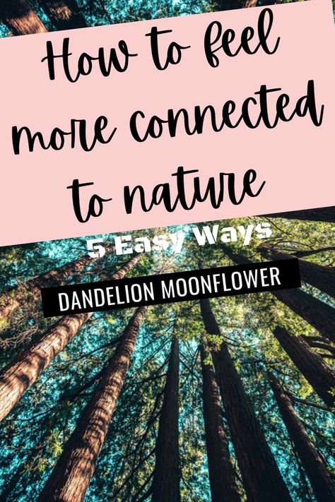 How to feel more connected to nature 5 easy ways dandelion moonflower Connection Aesthetic, Connection Activities, Connected To Nature, Nature Connection, Connect With Nature, Moon Flower, Which One Are You, Simple Living, Natural World