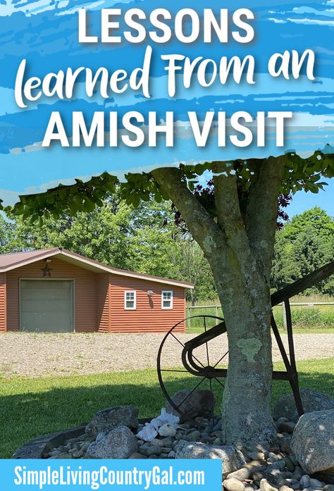 Amish Hacks, Make Money Homesteading, Pioneer Living, Suburban Homestead, Amish Living, Mennonite Recipes, Amish House, A Simple Life, Frugal Living Tips