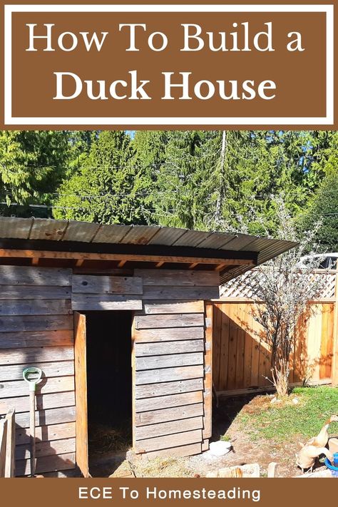 Duck Coops Diy Cheap, Diy Duck House Plans, Runner Duck House, Runner Ducks Coop, Duck House Ideas Backyards, Easy Duck Coop, Duck Coop Ideas Diy, Duck House Ideas, Diy Duck House