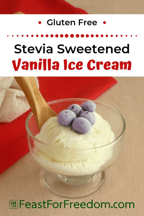 Sugar Free Ice Cream Recipes For Machine, Stevia Desserts, Cream Deserts, Stevia Recipes, Sugar Free Ice Cream, Healthy Ice Cream Recipes, Gluten Free Ice Cream, Low Carb Ice Cream, Ice Cream Maker Recipes