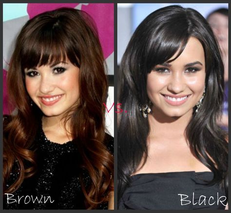 Demi Lovato: Brown vs. Black Brown Vs Black Hair, Brown Hair Vs Black Hair, Popular Hair Colors, Brown And Black Hair, Brown Hair Color Chart, Brown Hair Trends, Brown Hair Inspiration, Beautiful Brown Hair, Dark Purple Hair