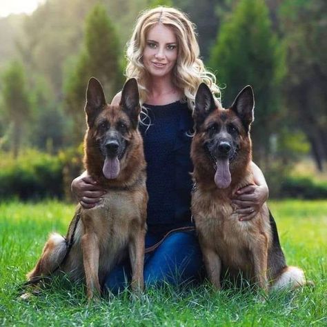 German Shepard Owners | Great photograph | Facebook German Shepherds, Perfect Woman, Shepherd Dog, German Shepherd, Photo Shoot, Photographer, Dogs, Quick Saves