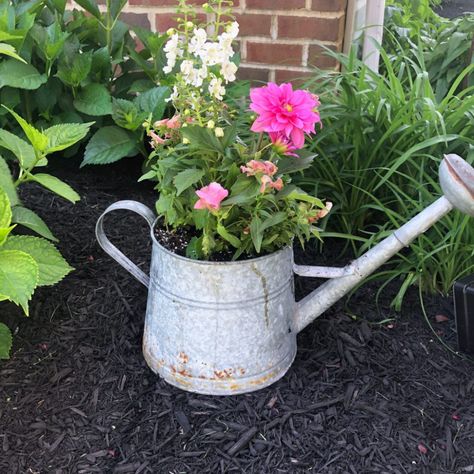 Watering Can Decor, Gardening Quotes, Planter Project, Ten Ten, Rustic Planters, Metal Watering Can, Sketching Ideas, Watering Cans, Diy Flower Pots