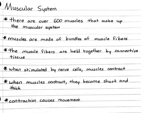 muscular system Muscular System Anatomy Notes, Muscular System Notes, Medtech Notes, Pediatric Oncologist, Muscular System Anatomy, Anatomy Education, Teas Test, Medical Assistant Student, Human Physiology