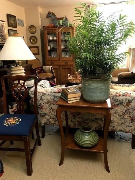 Miss Bee's Haven Apartment Simple, Farmhouse Vibes, Sitting Rooms, Living Vintage, Granny Flat, Country Living Room, My Apartment, Home Decorating Ideas, Traditional Living Room