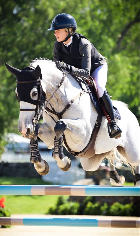 Show Jumper Horse, Show Jumping Aesthetic, Horseback Riding Outfit, Hunter Derby, Aesthetic Equestrian, Riding Outfit Equestrian, Jumping Pictures, Hunter Horse, Kentucky Horse Park