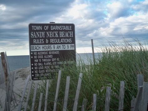 Visit Sandy Neck Beach for a unique summer experience on Cape Cod. Beach Rules, Boundary Waters Canoe Area, Bristlecone Pine, Deep Creek Lake, Vacations In The Us, Moon Beach, Hot Springs National Park, Nevada Mountains, Visit Usa