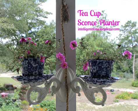 Tea Cup Sconce Planter. Repurposed sconce. #Repurpose… Tea Cup Planter, Tea Cups Diy, Porch Makeover, Pretty Tea Cups, Decorative Wall Sconces, Tea Diy, Diy Garden Projects, Diy Planters, Garden Lovers