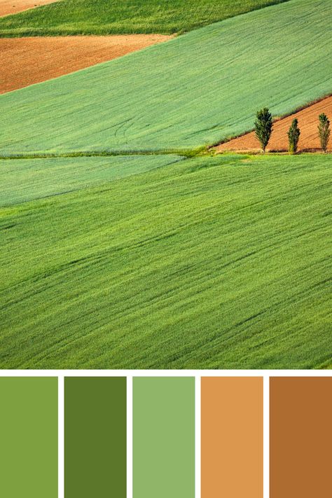 This earth palette depicts a serene landscape of rolling green fields interspersed with patches of brown soil, illustrating the harmonious blend of earthy tones in nature. Earth Palette, Color Scheme Generator, Earth Colour Palette, Tone Color Palette, Earth Tone Color Palette, Color Generator, Flip Image, Blur Image, Earth Tone Color