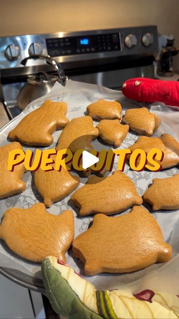 Rebecca Murillo | Puerquitos 🐖

Elly (my lil sis) was getting home sick so she flew down for a day & we made sure she felt all the love!!! Elly loves... | Instagram Mexican Pig Cookies, Marranitos Recipe, Mantecadas Recipe, Pig Cookies, Lil Sis, Tex Mex Recipes, Tex Mex, Mexican Food Recipes, Holiday Recipes