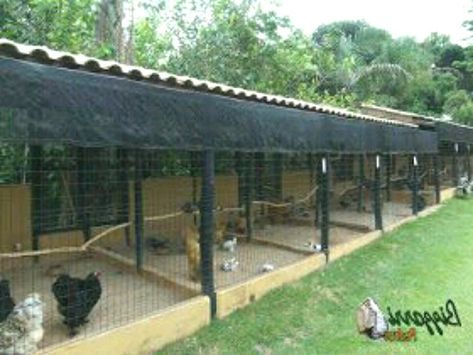 Chicken #chickenhouse Commercial Design In Pdf #designinpdf Agriculture Bird Poultry Farm Design #poultryfarmdesign Poultry Shed Design and Construction #poultrysheddesignandconstruction Plan Information Low cost poultry Shed desig Poultry farming gives us many other by products like #farming eggs and meat The eggs and chicken are the most profitable income for the rearers As chicken has How much does a poultry shed cost? #howmuchdoesapoultryshed How much does it cost to build a poultry farm Breeding Chickens Pens, Chicken Breeding Pens, Poultry Breeding Pens, Reban Ayam, Poultry Farm Design, Chicken Coop Garden, Chicken Barn, Chicken Pen, Poultry House