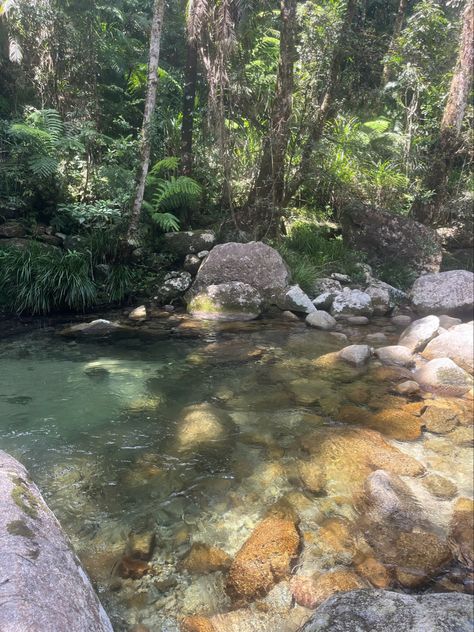 creek Dirt Road, Summer 2024, Quick Saves, Nature