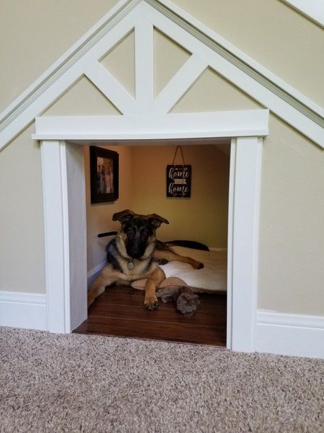 Home design ideas for your pet at home. I'm relaxing now don't disturb me. #doghouseplans #diy #dogaccessories #petlover #dogfstuff Under Stairs Dog House, Small Dog House, Dog Bedroom, Indoor Dog House, Build A Dog House, Diy Dog Kennel, Dog House Plans, Outdoor Dog House, Dog Spaces