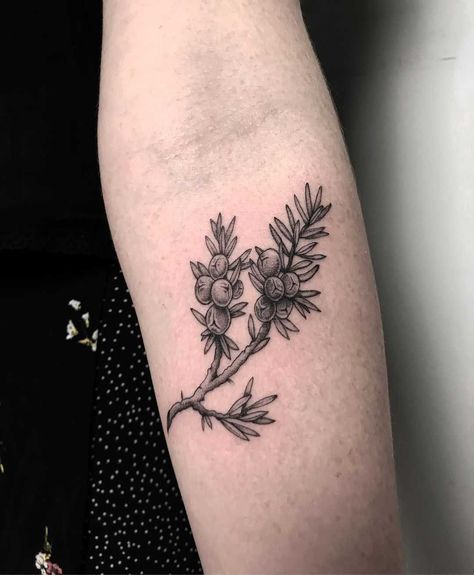 Juniper branch by tattooist Spence @zz tattoo Juniper Tree Tattoo, Earthy Tattoo Ideas, Ally Tattoo, Juniper Tattoo, Arm Patchwork, Tattoo Ideas Memorial, Juniper Branch, Doodle Tattoos, Maybe Tattoo