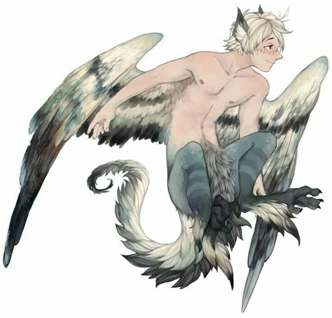 griffin human Monster Boy, Heroic Fantasy, Creature Drawings, Mythical Creatures Art, Creature Concept, Creature Design, A Drawing, Creature Art, Fantasy Character Design