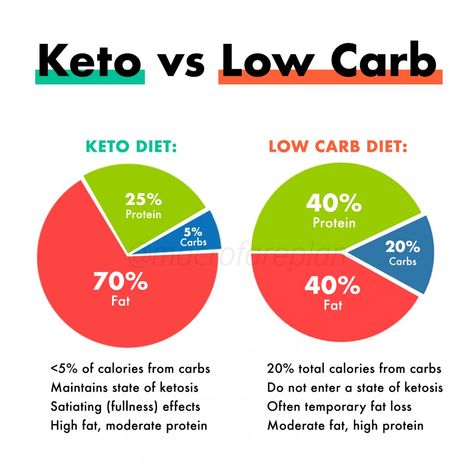 Keto Vs Low Carb, High Protein Low Carb, Diets For Beginners, Keto Diet Meal Plan, Calorie Intake, Carb Diet, Diet Meal Plans, Keto Meal Plan, No Carb Diets