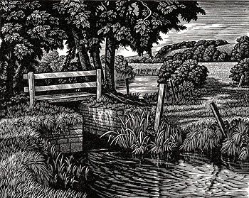 Homington Water Meadows by Howard Phipps Summer Fields, Relief Prints, Woodcut Art, Lino Cuts, Relief Printing, Lino Cut, Linocut Art, Woodcuts Prints, Wood Engraving