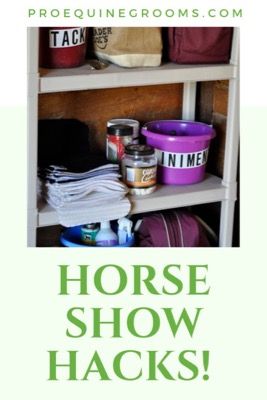 Horse Show Hacks https://www.proequinegrooms.com/tips/grooming/horse-show-hacks Barn Hacks, Turnout Rug, Riding Tips, Equestrian Helmets, Equestrian Helmet, Barrel Horse, Types Of Horses, Horse Grooming, Horse Accessories