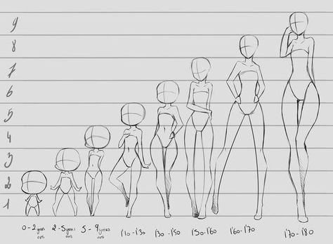 Chibi to full size. Poses References, Guided Drawing, Body Drawing, Anatomy Reference, Anime Drawings Tutorials, Drawing Tutorials, Drawing Challenge, Drawing Poses, Drawing Tips