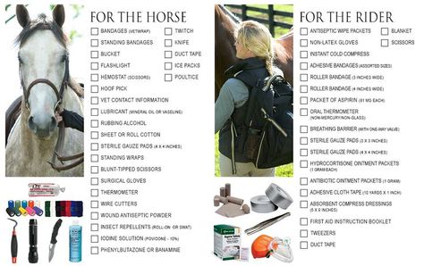 basic first aid for horses | Noble Equine: DIY basic first aid kit and essentials for horse owners Horse Riding Essentials, First Horse Essentials, Equine First Aid Kit, Horse First Aid Kit, Therapy Farm, Equine Medicine, Horse Essentials, Basic First Aid Kit, Equestrian Jumping