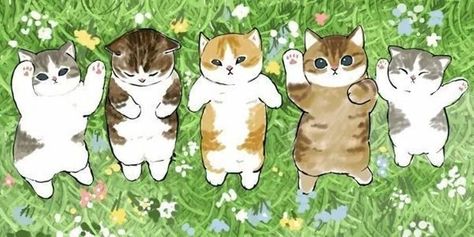 Mofusand Wallpaper, Mofusand Cats, Ciao Salut Cat, Mofu Sand, Materi Bahasa Jepang, Kitten Wallpaper, Kitten Drawing, Cute Twitter Headers, Cute Banners